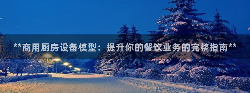 尊龙官方APP下载：**商用厨房设备模型：提升你的餐饮业务的
