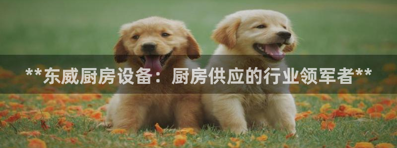 尊龙人生就是博旧版现：**东威厨房设备：厨房供应的行业领军者