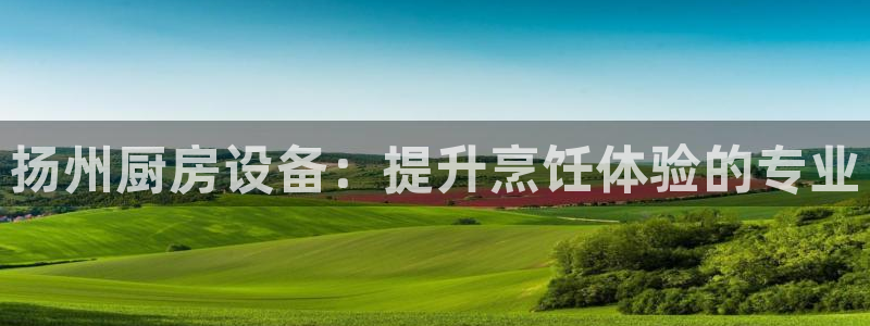 尊龙官网国际：扬州厨房设备：提升烹饪体验的专业
