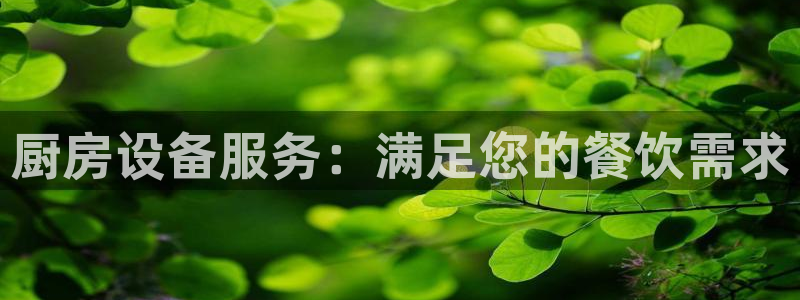 尊龙登录会员登录：厨房设备服务：满足您的餐饮需求