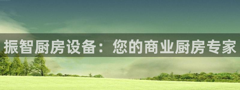 凯时官网app下载官方网站：振智厨房设备