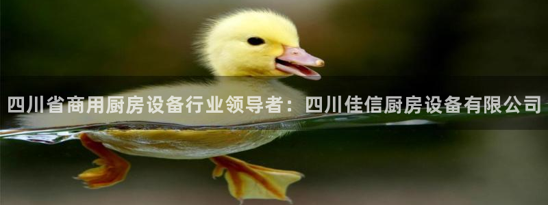 尊龙凯时游戏厅：四川省商用厨房设备行业领导者：四川佳信厨房设