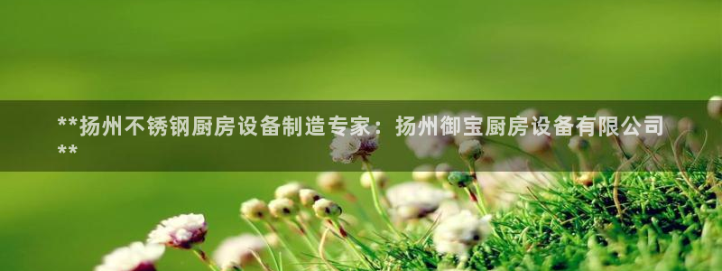 尊龙现金一下S选来就送38：**扬州不锈钢厨房设备制造专家：