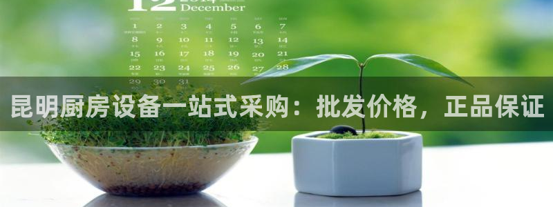 尊龙凯时·中国官方网站：昆明厨房设备一站式采购：批发价格，正