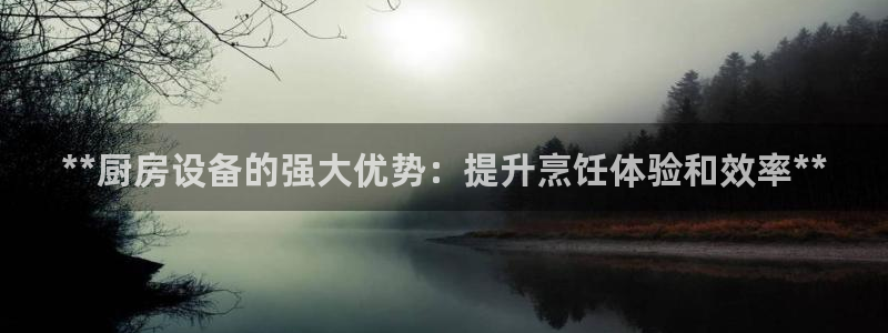 尊龙游戏官网：**厨房设备的强大优势：提升烹饪体验和效率**