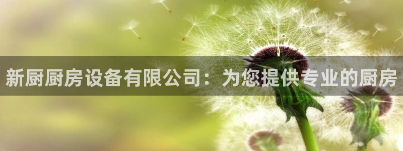 凯时登录界面：新厨厨房设