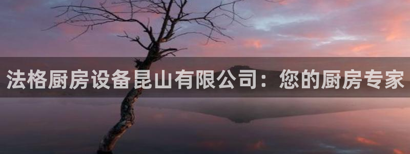 尊龙d88现金旧版本：法格厨房设备昆山有限公司：您的厨房专家