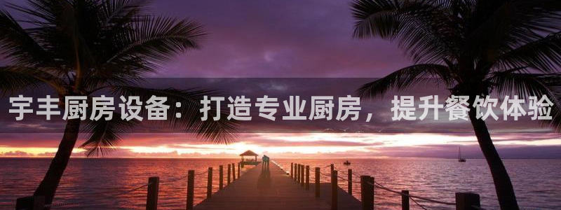 尊龙凯时 人生就是搏首页：宇丰厨房设备：