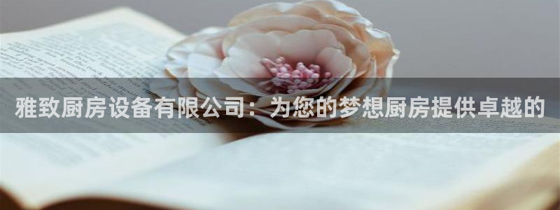 尊龙ktv怎么样：雅致厨房设备有限公司：为您的梦想厨房提供卓