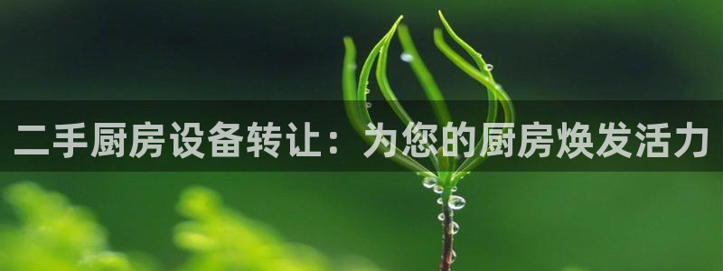 尊龙凯时平台官网：二手厨