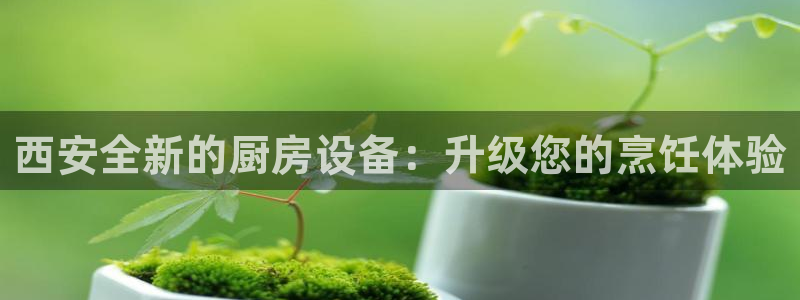 凯时k66官网登录：西安全新的厨房设备：升级您的烹饪体验