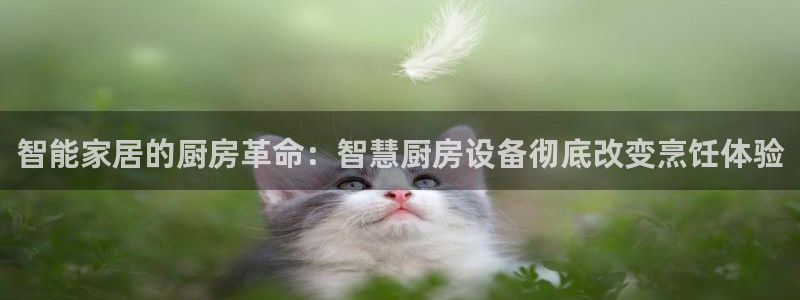 尊龙人生就是博官方官网：