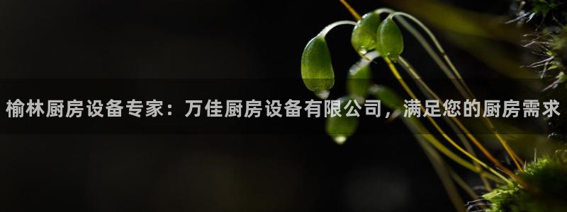 Z6尊龙官网入口：榆林厨房设备专家：万佳厨房设备有限公司，满