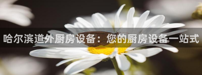 尊龙凯时代理能提出来不：哈尔滨道外厨房设备：您的厨房设备一站