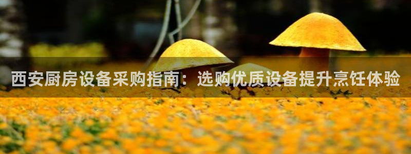尊龙凯时ag旗舰厅官：西安厨房设备采购指南：选购优质设备提升