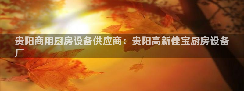 尊龙实业有限公司：贵阳商