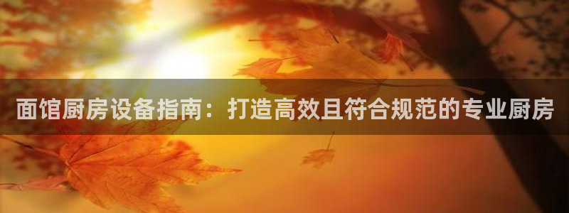 尊龙凯时网娱乐最新版下载：面馆厨房设备指南：打造高效且符合规