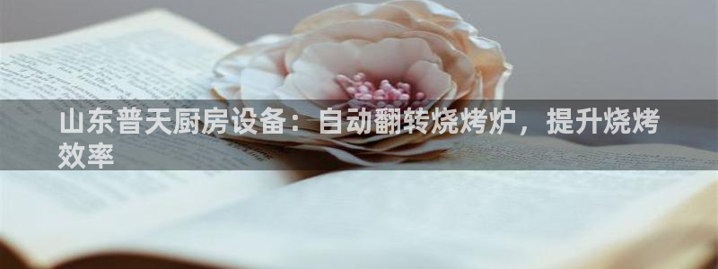 尊龙凯时邀请码：山东普天厨房设备：自动翻转烧烤炉，提升烧烤
