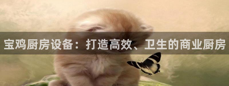 尊龙网址登录官网：宝鸡厨