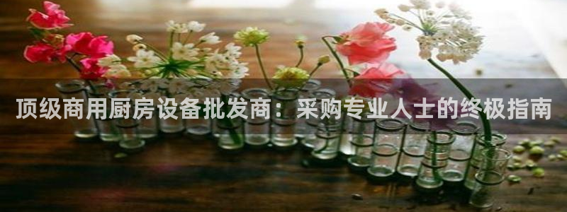 尊龙凯时官网网址：顶级商