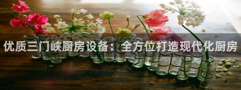 尊龙现金一下S选来就送38：优质三门峡厨房设备：全方位打造现