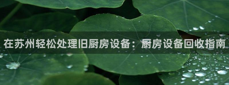 尊龙凯时人生就是搏!官网：在苏州轻松处理旧厨房设备：厨房设备