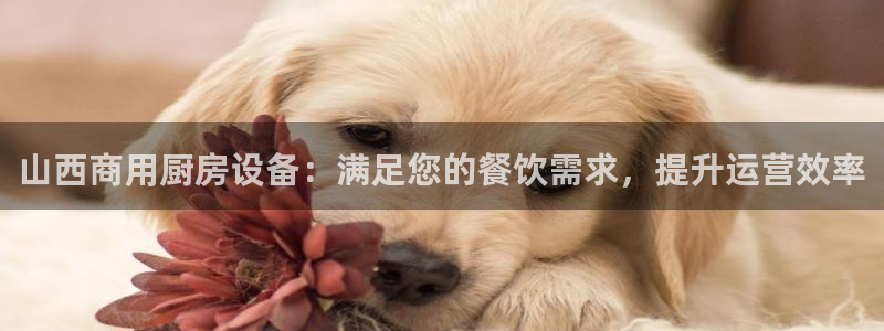 尊龙人生就是博管网：山西