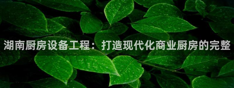 尊龙专访视频：湖南厨房设备工程：打造现代化商业厨房的完整