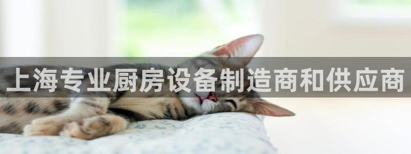 尊龙官方平台：上海专业厨房设备制造商和供应商