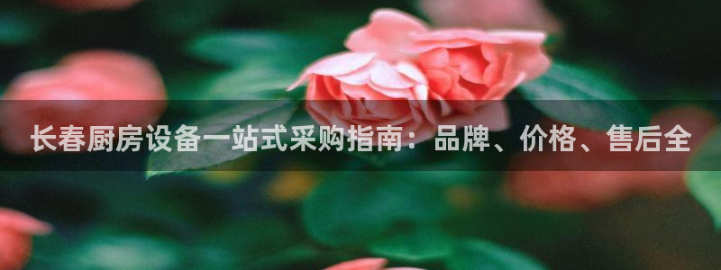 下载凯时AG旗舰厅首页：长春厨房设备一站式采购指南：品牌、价