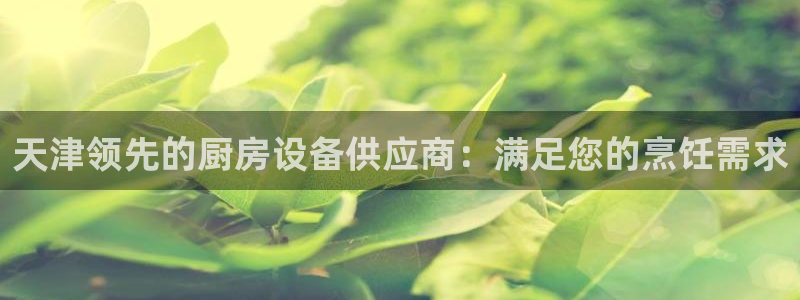 尊龙凯时网页版：天津领先的厨房设备供应商