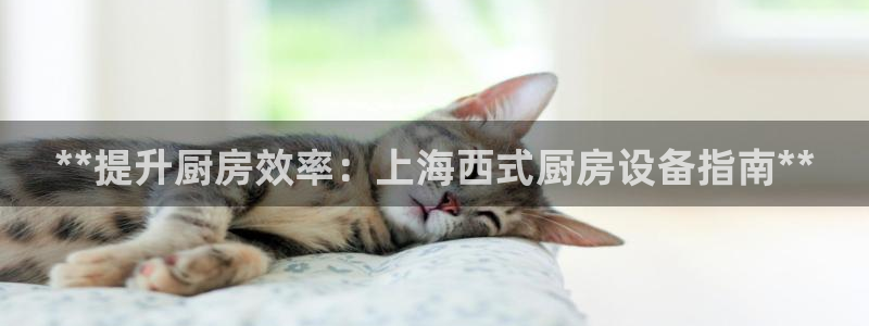 尊龙凯时是正规平台吗：**提升厨房效率：上海西式厨房设备指南