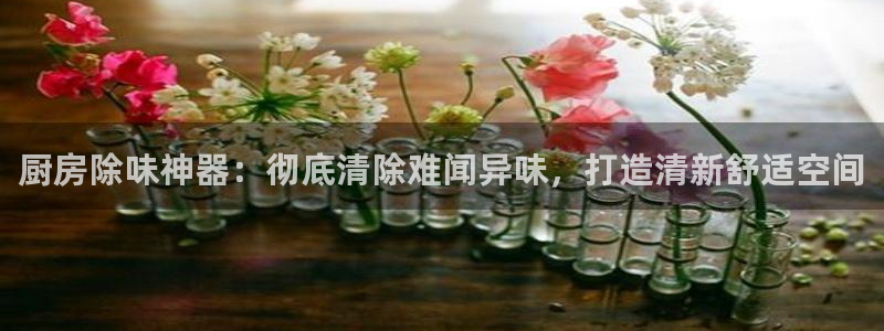 尊龙凯时电竞注册：厨房除味神器：彻底清除难闻异味，打造清新舒