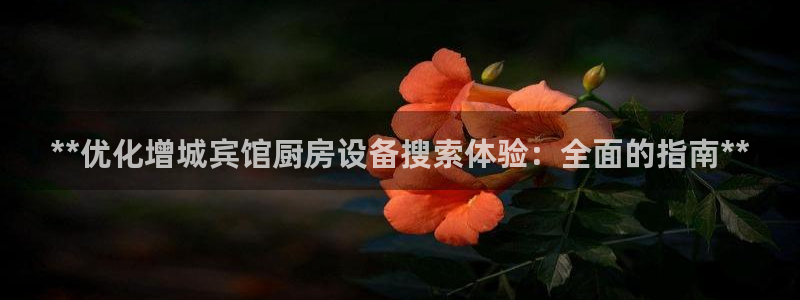凯时k66娱乐登录：**优化增城宾馆厨房设备搜索体验：全面的