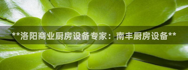 最新凯时官网网址：**洛阳商业厨房设备专家：南丰厨房设备**