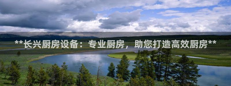 百度一下尊龙：**长兴厨房设备：专业厨房，助您打造高效厨房*