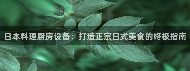 尊龙凯时app官方网站：日本料理厨房设备：打造正宗日式美食的