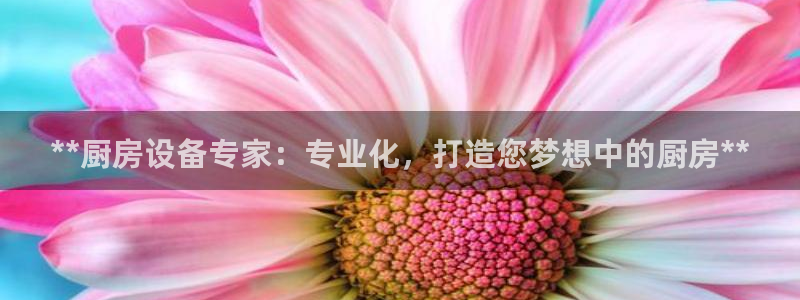 尊龙人生就是博网站：**