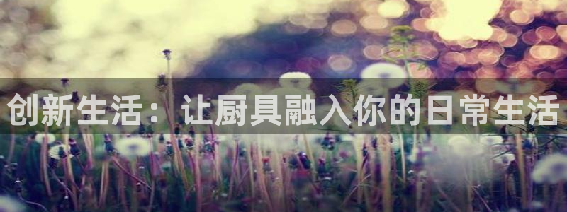 尊龙官网免费下载安卓