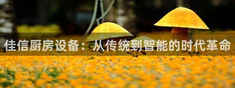 z6尊龙z6