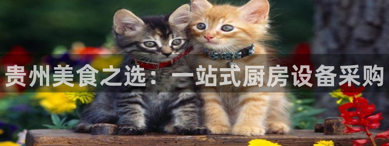 凯时k88最新