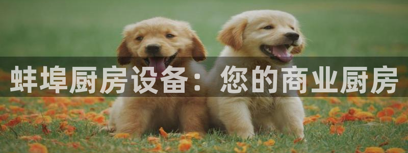 尊龙AG发财网：蚌埠厨房