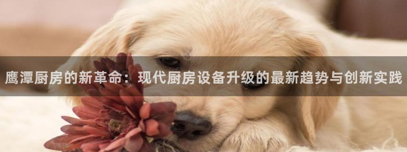 尊龙凯时网站怎么样