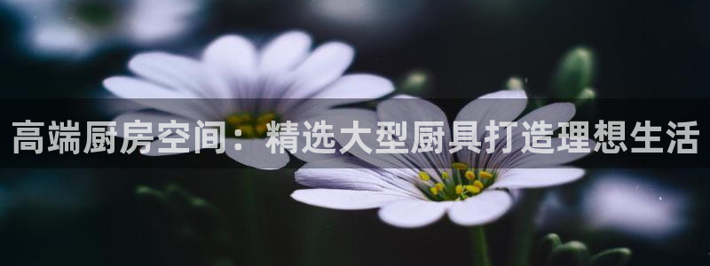 尊龙游戏官网