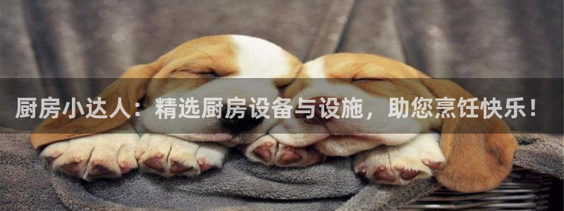 凯时ag旗舰厅登录