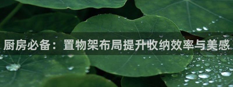 尊龙d88官网选RA来就送38