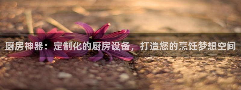 尊龙凯时一人生就是博登入