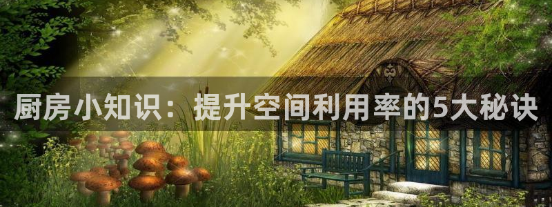 尊龙专访