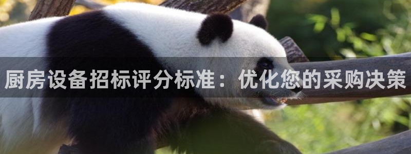 尊龙最新版：厨房设备招标评分标准：优化您