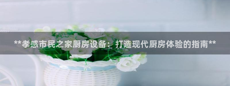 尊龙人生就是傅官网：**孝感市民之家厨房设备：打造现代厨房体